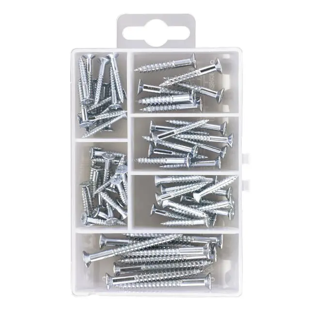 Wood Screw Set ZY6221